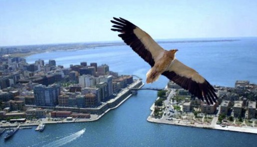 taranto